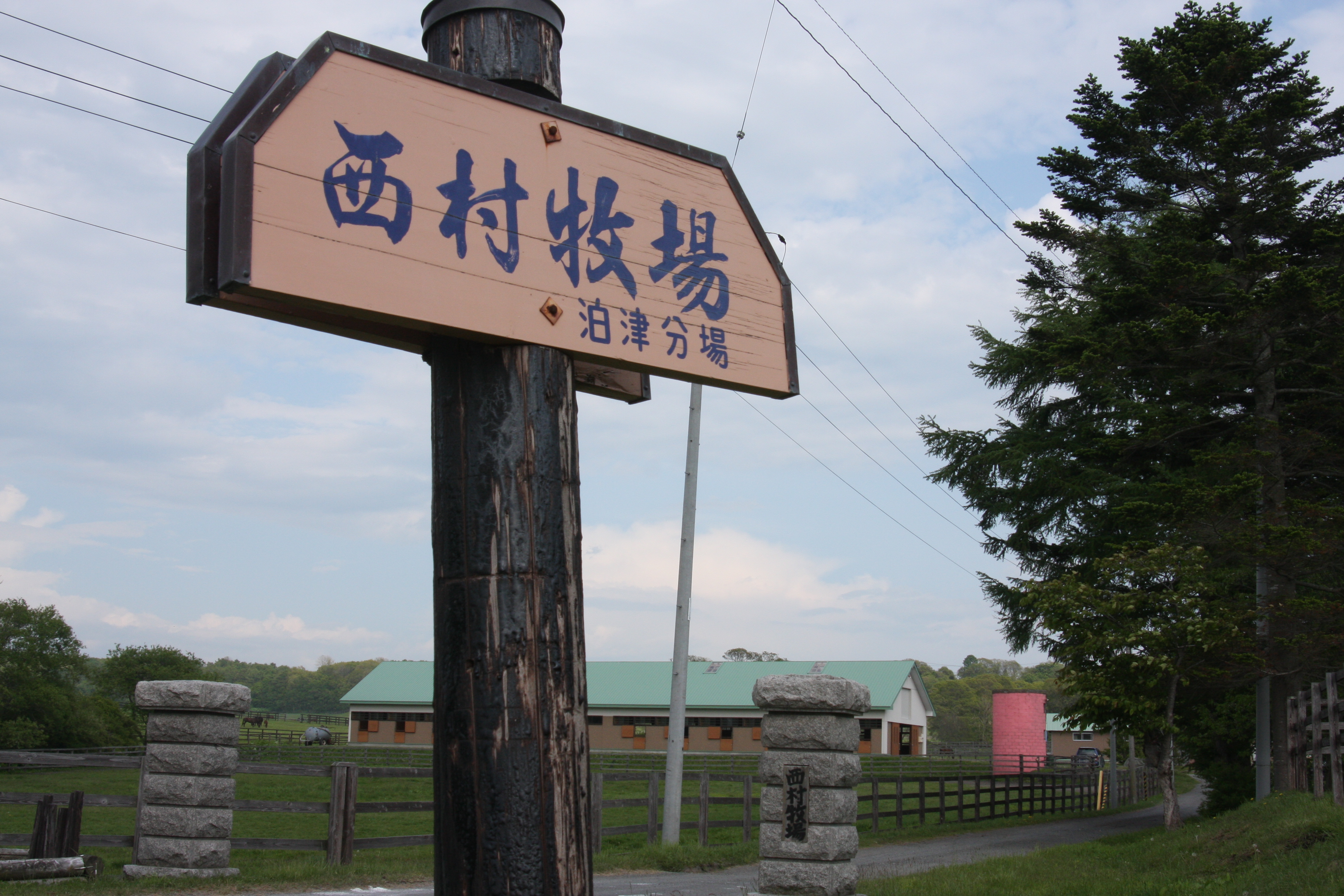 入口