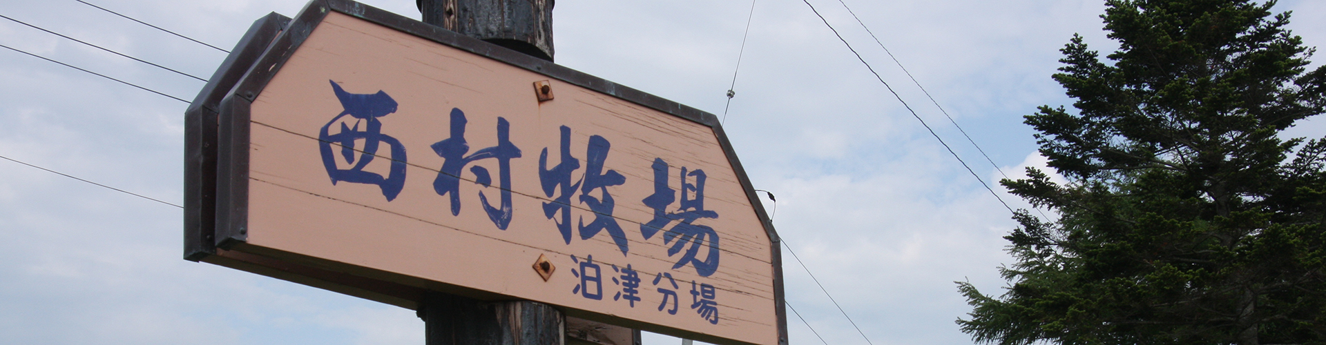 分場